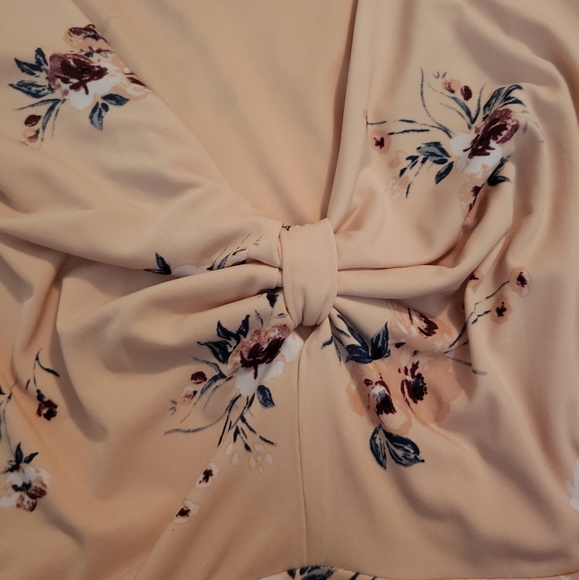 Torrid Blush Dress - Picture 4 of 12